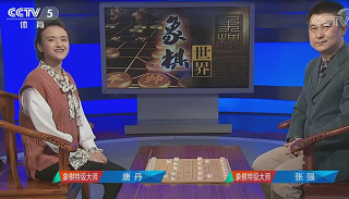 2017年陈罗平杯世锦赛,德国薛涵第对中国王天一