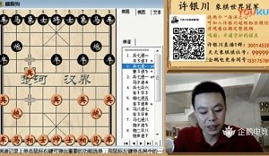 许银川6月13日直播，对瞎眼狗开局套路进行了讲解